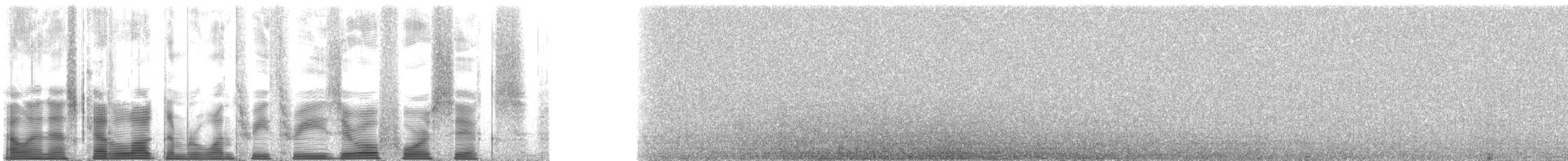シラヒゲウミスズメ - ML133046