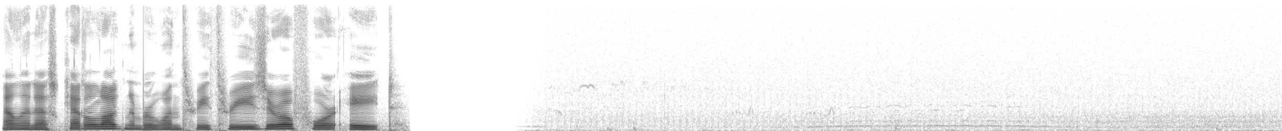 シラヒゲウミスズメ - ML133048