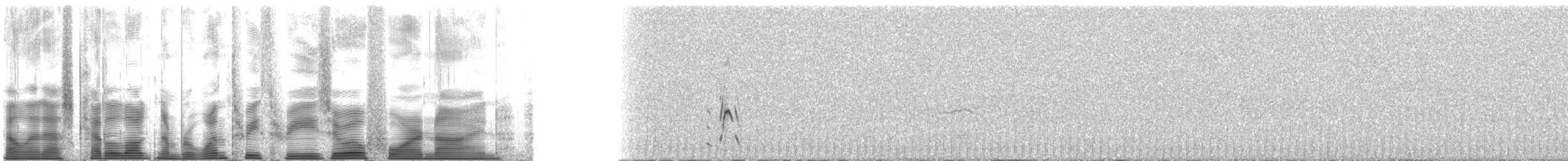 Whiskered Auklet - ML133049