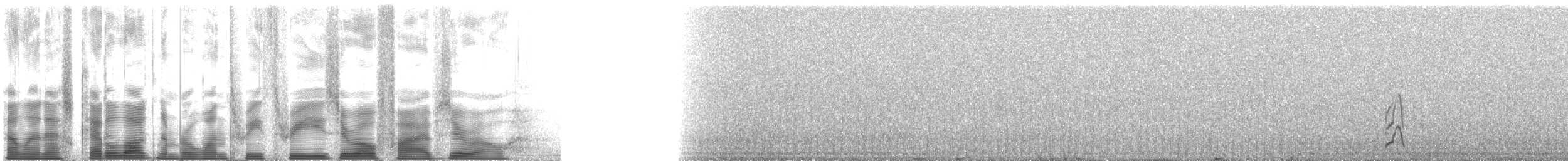 Whiskered Auklet - ML133050