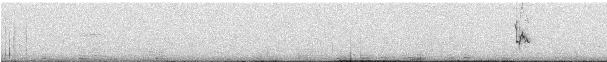 Канарский конёк - ML133052171