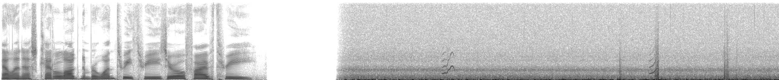 Малая конюга - ML133053