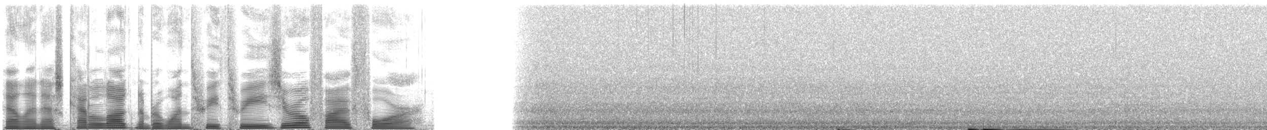 Whiskered Auklet - ML133054