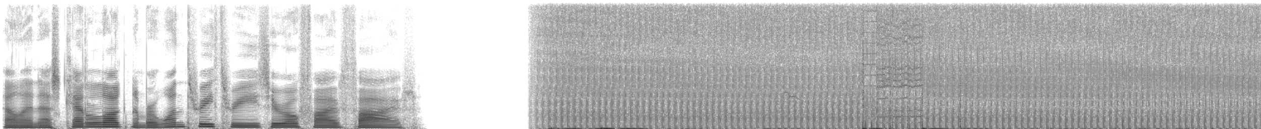 Whiskered Auklet - ML133055