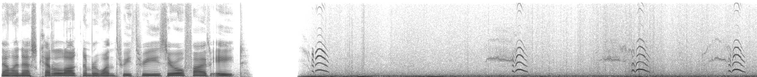 Whiskered Auklet - ML133058