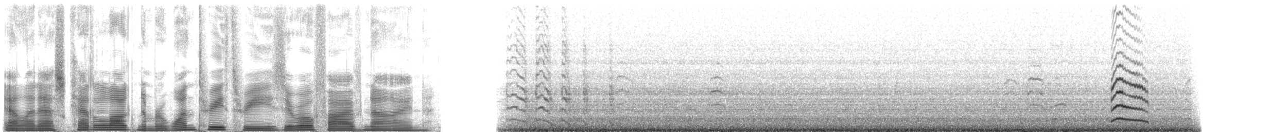 Whiskered Auklet - ML133059