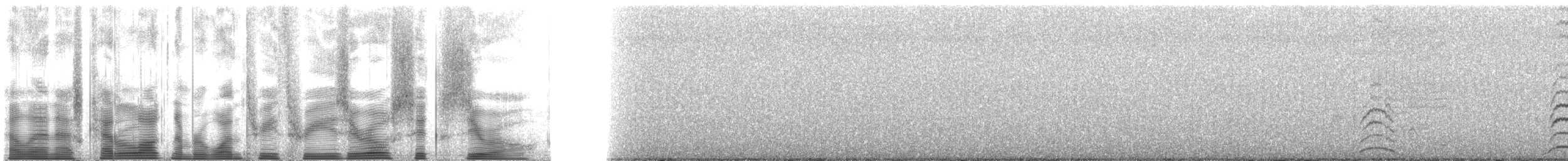 Whiskered Auklet - ML133060