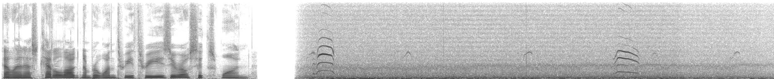 Малая конюга - ML133061