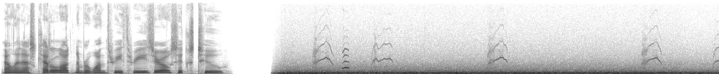 Whiskered Auklet - ML133062