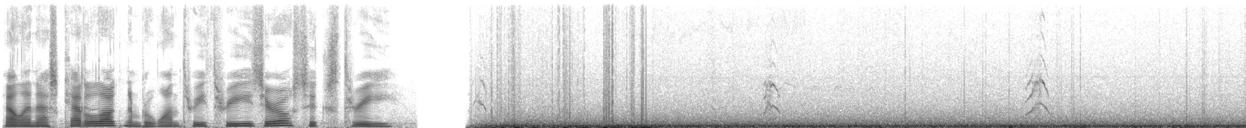 Whiskered Auklet - ML133063