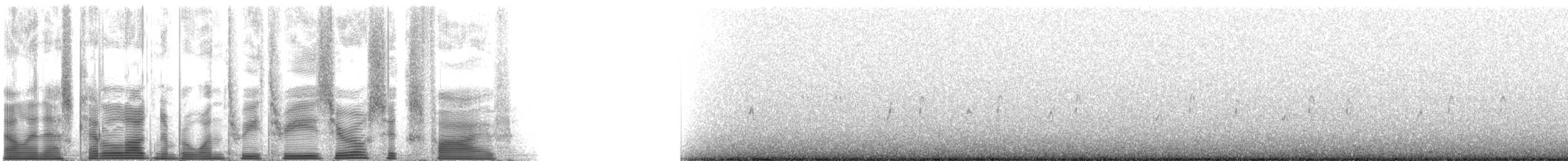 Whiskered Auklet - ML133065