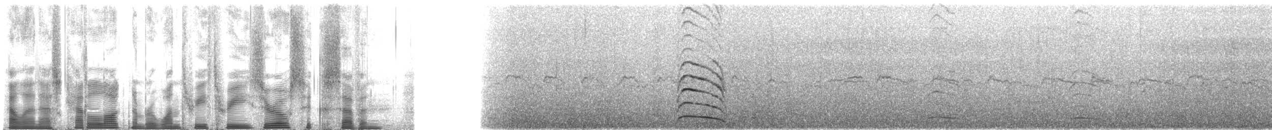 Whiskered Auklet - ML133067