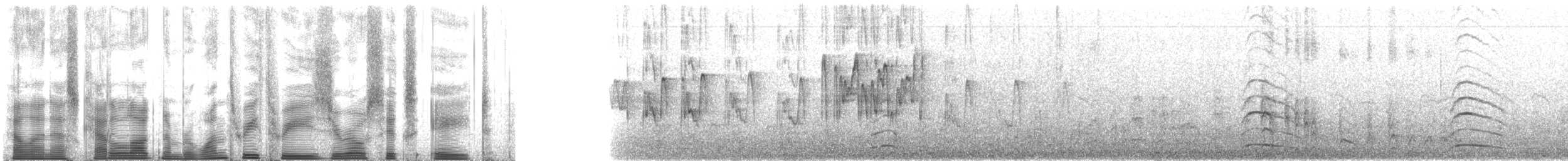 Whiskered Auklet - ML133068