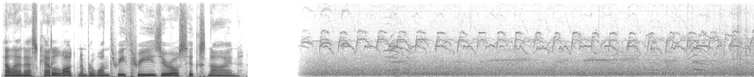 Whiskered Auklet - ML133069