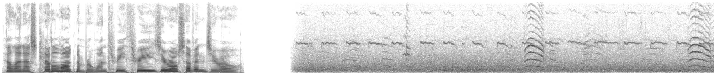 シラヒゲウミスズメ - ML133070