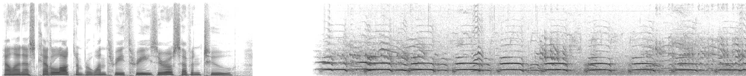 シラヒゲウミスズメ - ML133072
