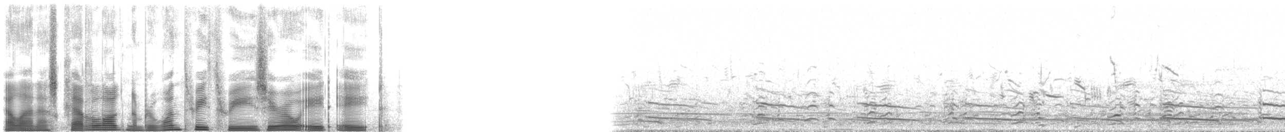 Малая канадская казарка (leucopareia) - ML133088