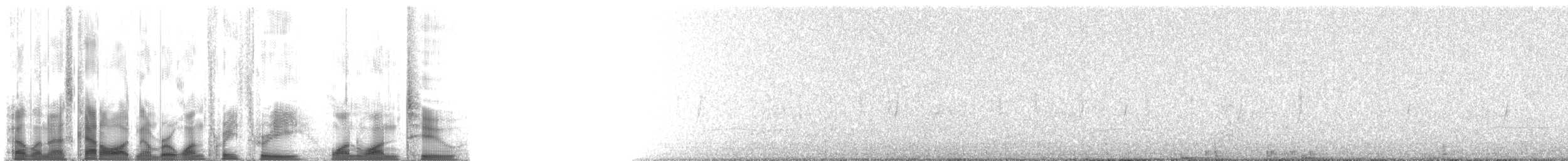 Cuitlacoche Ocelado - ML133112