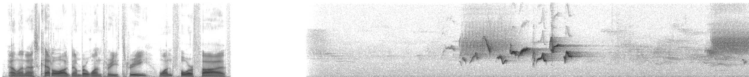 Western Warbling Vireo - ML133145