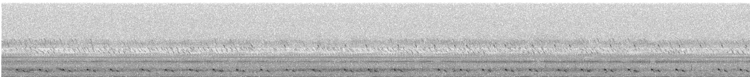 Prachtnachtschwalbe - ML133219581