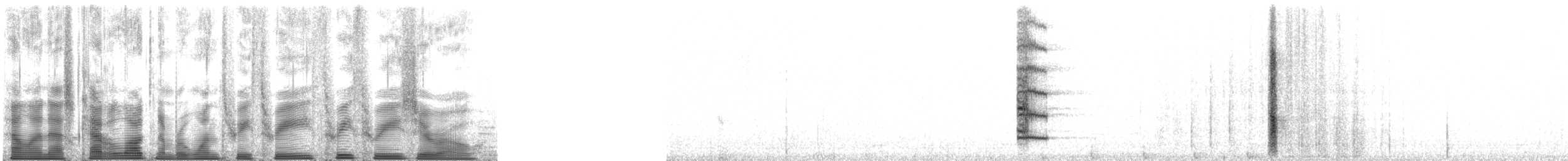 Гракл пурпуровошиїй - ML133330