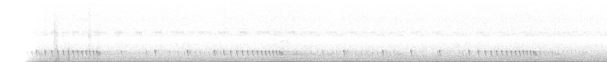 Indiennachtschwalbe - ML133330121