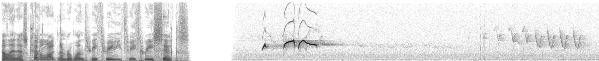 Boreal Sinekkapan - ML133336