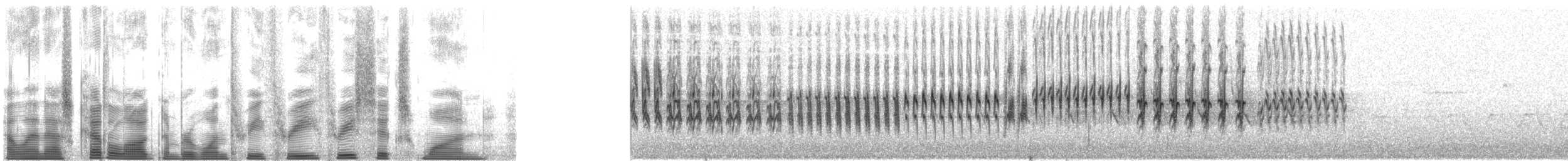 צלוב-מקור לבן-כנף - ML133361