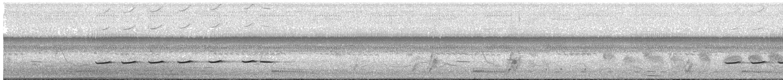 Striped Cuckoo - ML133369111