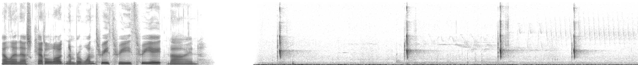 Черноспинный трёхпалый дятел - ML133389