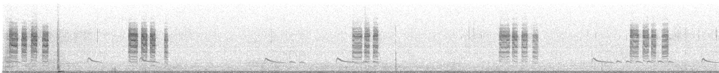 pěnice pokřovní (ssp. minula) - ML133451841