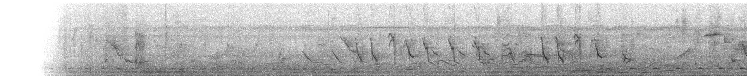 Рисоїд нікарагуанський - ML133508971