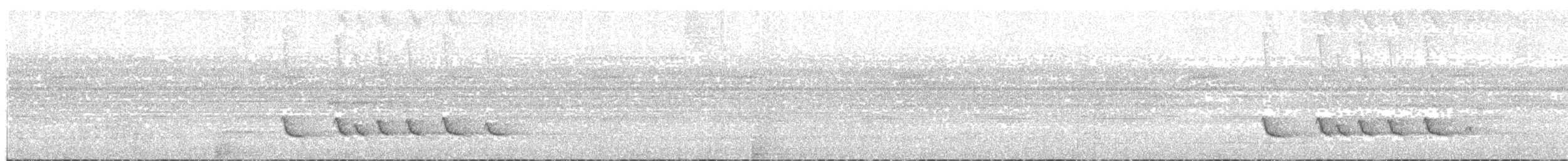 Weißbindenbekarde - ML133652991