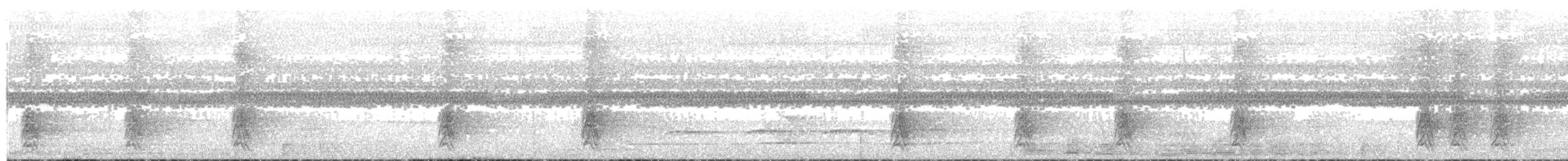 Breithauben-Stirnvogel - ML133653191