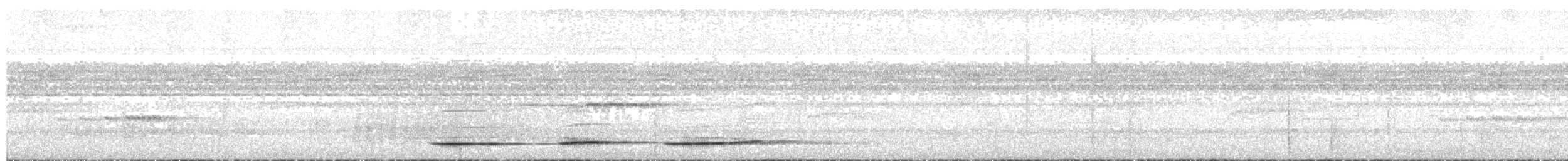 Tinamou vermiculé - ML133661941