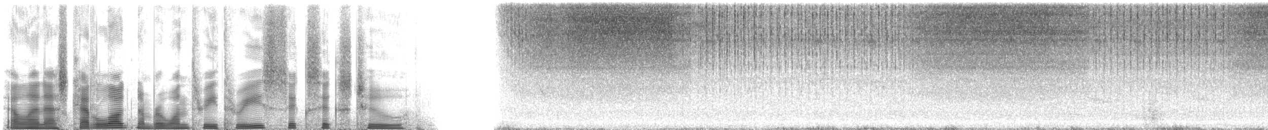 Common Meadow Katydid - ML133662