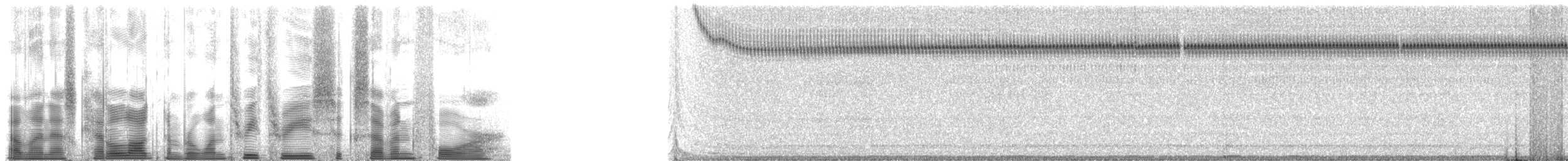 Sphagnum Ground Cricket - ML133674