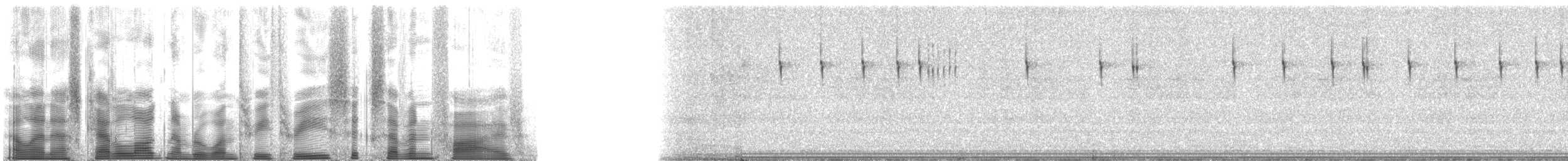 Gray Ground Cricket - ML133675