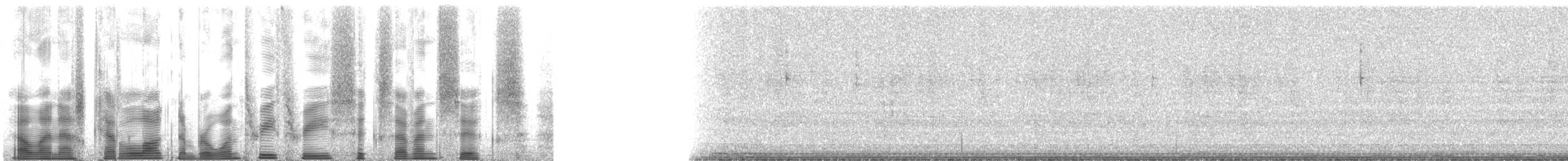 Gray Ground Cricket - ML133676