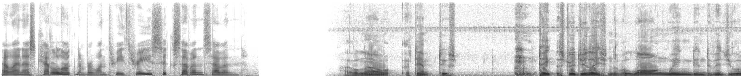 Allard's Ground Cricket - ML133677