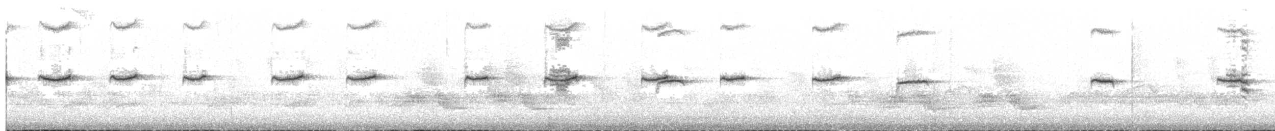 Galápagosspottdrossel - ML133678191
