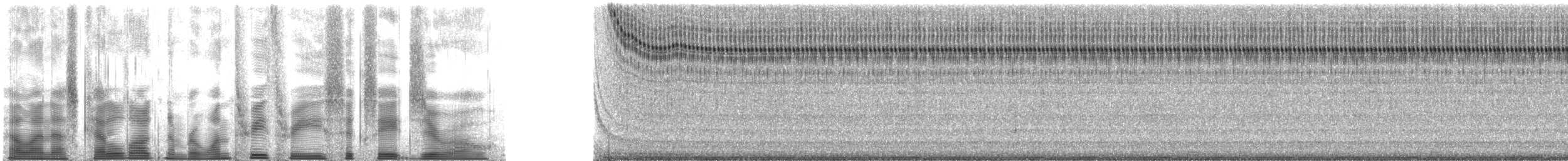 Gray Ground Cricket - ML133680