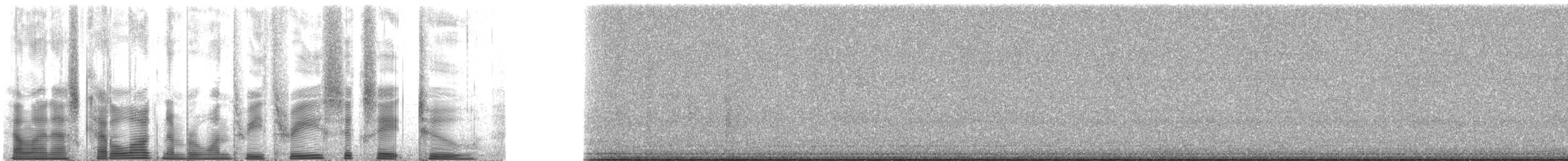 Allard's Ground Cricket - ML133682