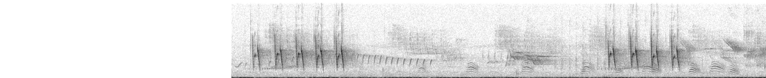 Camaroptère à tête grise (groupe brevicaudata) - ML133772441