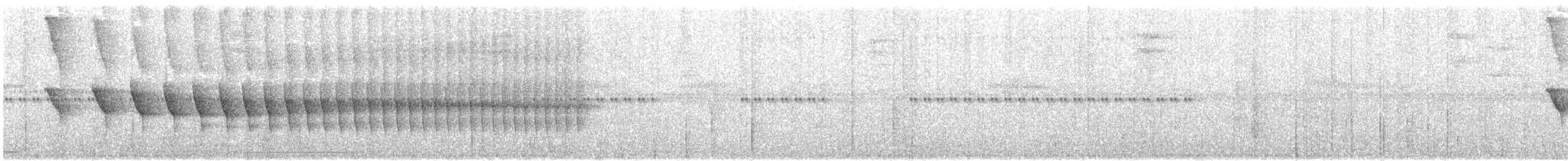 Koyu Kuyruklu Karıncakuşu - ML133813031