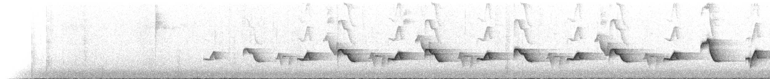 ハイムネモリミソサザイ - ML133830141