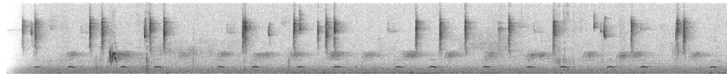 Сичик-горобець гірський (підвид gnoma) - ML133843911