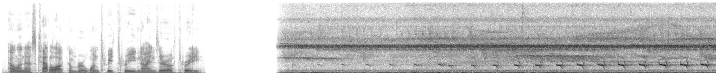 Trogon surucua (surrucura) - ML133903