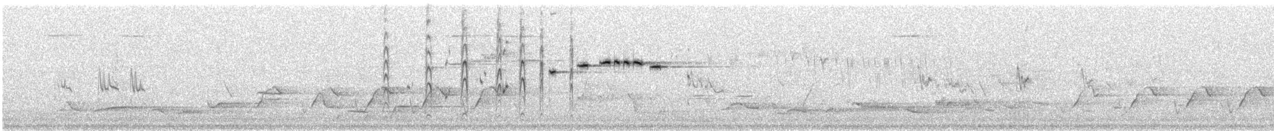 Віялохвістка сиза (підвид albiscapa) - ML133917731