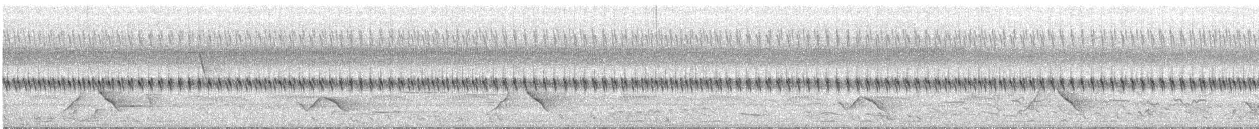 Black-winged Monarch - ML133919261